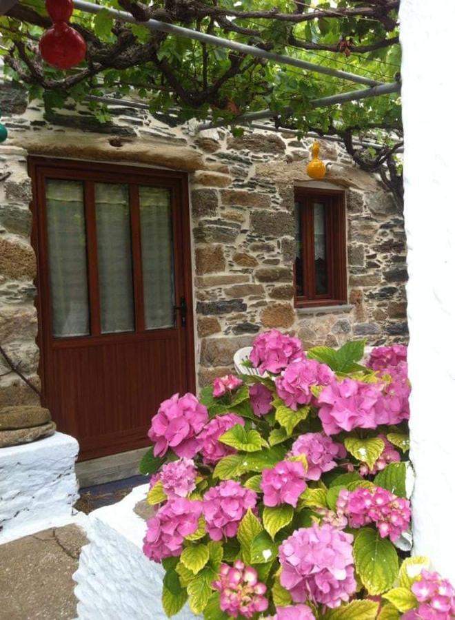 Villa Πέτροκτιστο Σπίτι. Stone House à Karystos  Extérieur photo